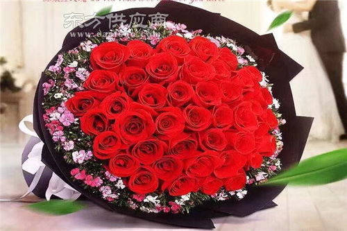 商丘花卉園藝培訓學校圖片